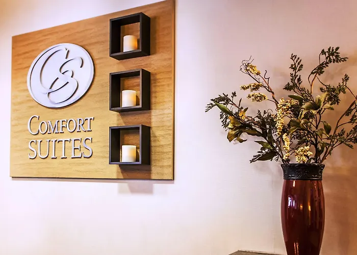 Comfort Near Libertyville North Hotel 4*