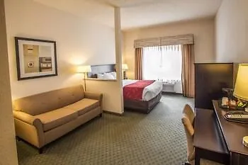 Comfort Near Libertyville North Hotel Grayslake