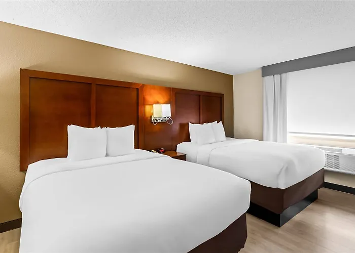 Comfort Near Libertyville North Hotel Grayslake