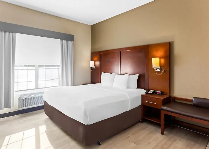 Hotel Comfort Near Libertyville North Grayslake