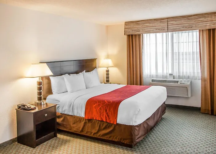 Hotel Comfort Near Libertyville North Grayslake